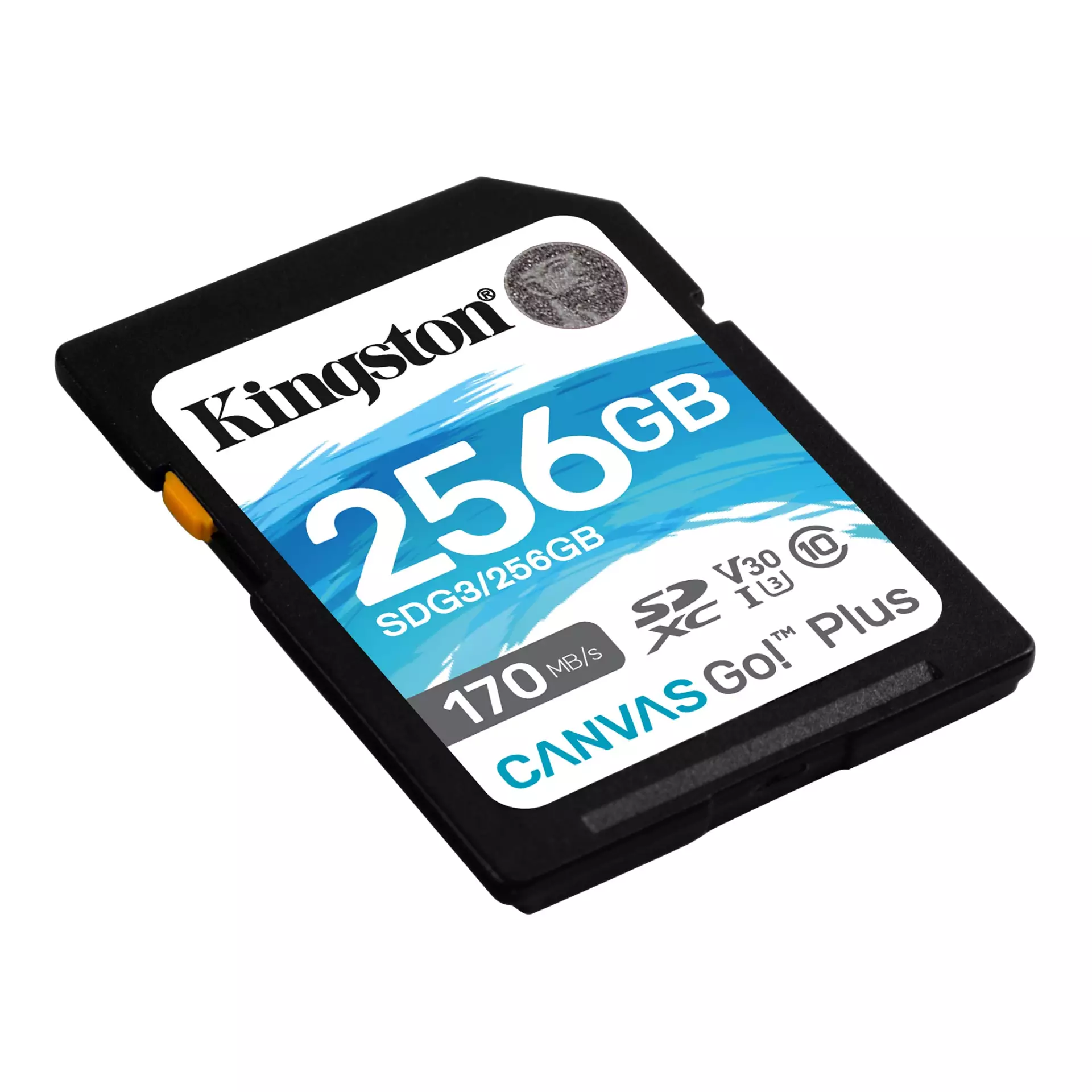 Kingston SD 256GB CanvasGoPlus