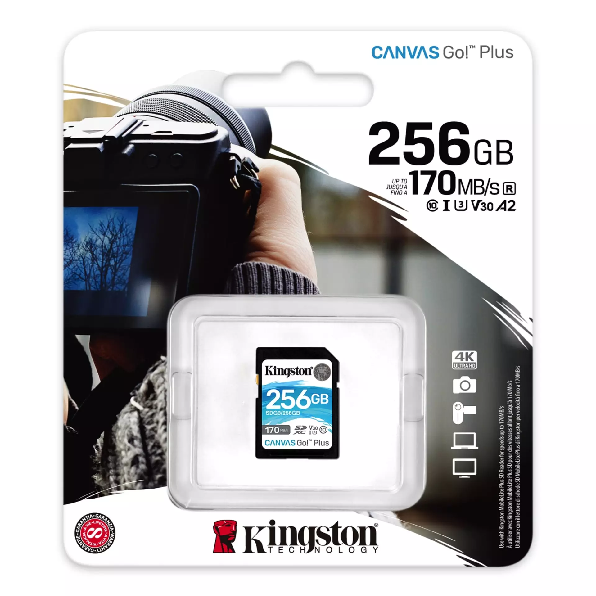 Kingston SD 256GB CanvasGoPlus