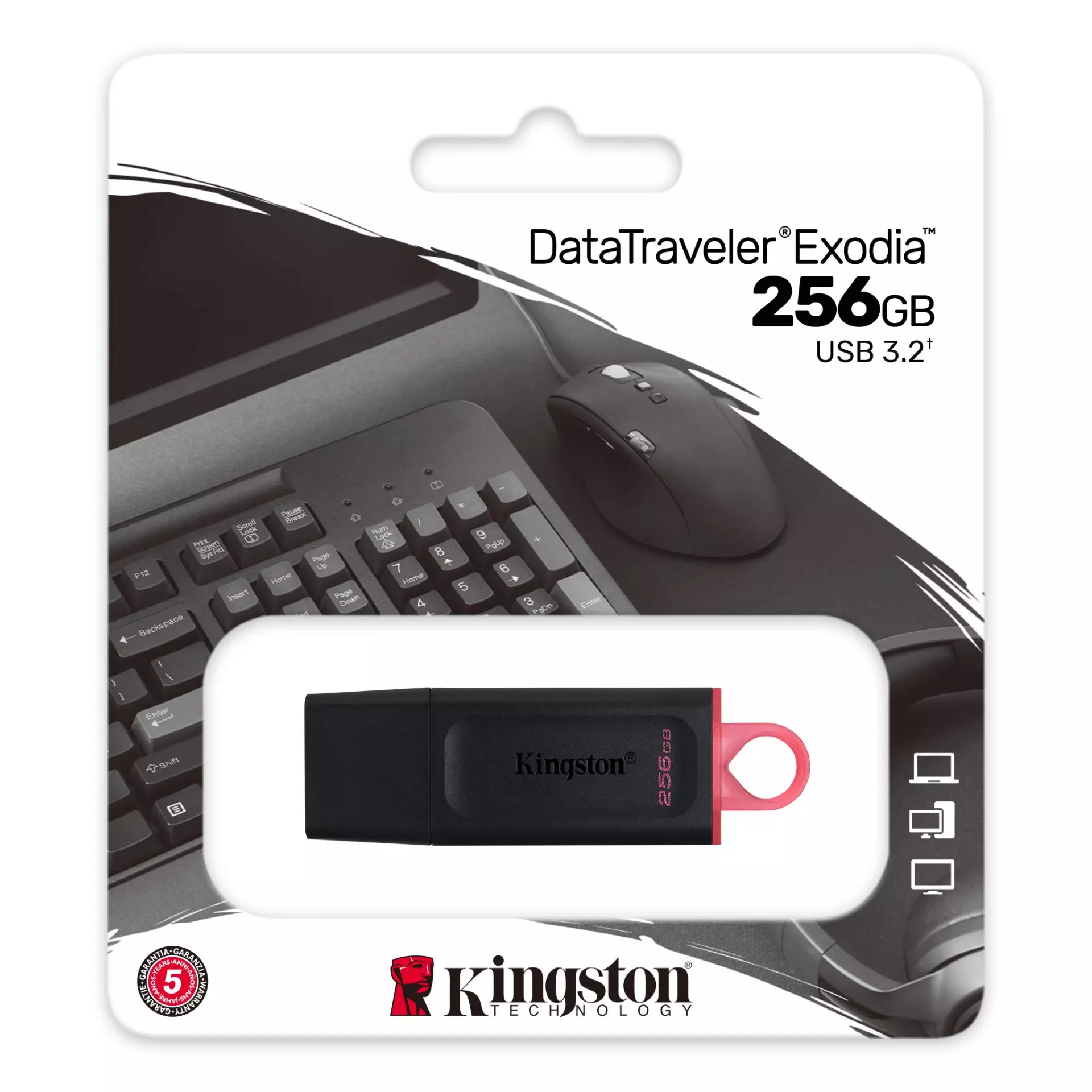 Kingston USB 256GB USB3.2 DTX