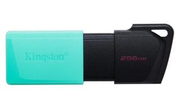 Kingston FD 256GBUSB3.2 DataTraveler Exodia M