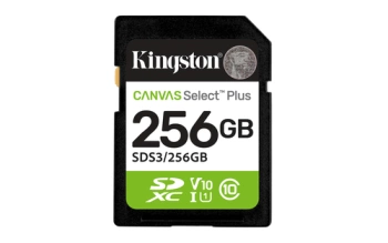 Kingston SD 256GB Class 10
