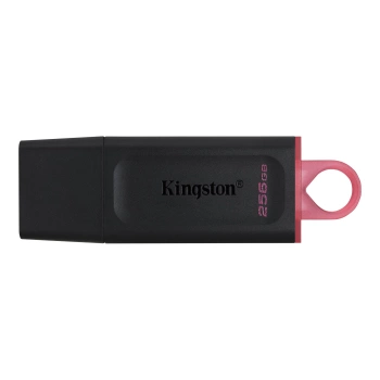 Kingston USB 256GB USB3.2 DTX