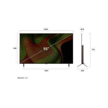 LG TV OLED OLED55B53LA