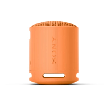 SONY Zvucnik SRSXB100D.CE7