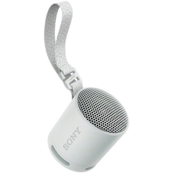 SONY Zvucnik SRSXB100H.CE7